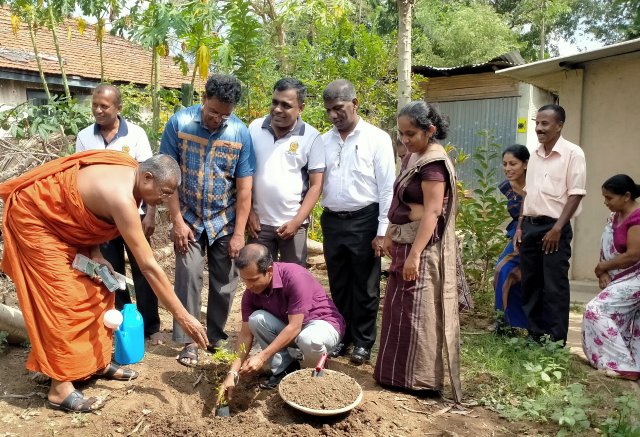 නිදහස් දිනය 2020